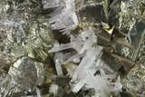 Cubic Pyrite & Quartz Crystal Association - Peru #136195-1